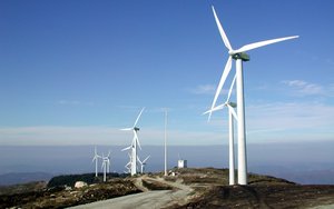 生态系统
